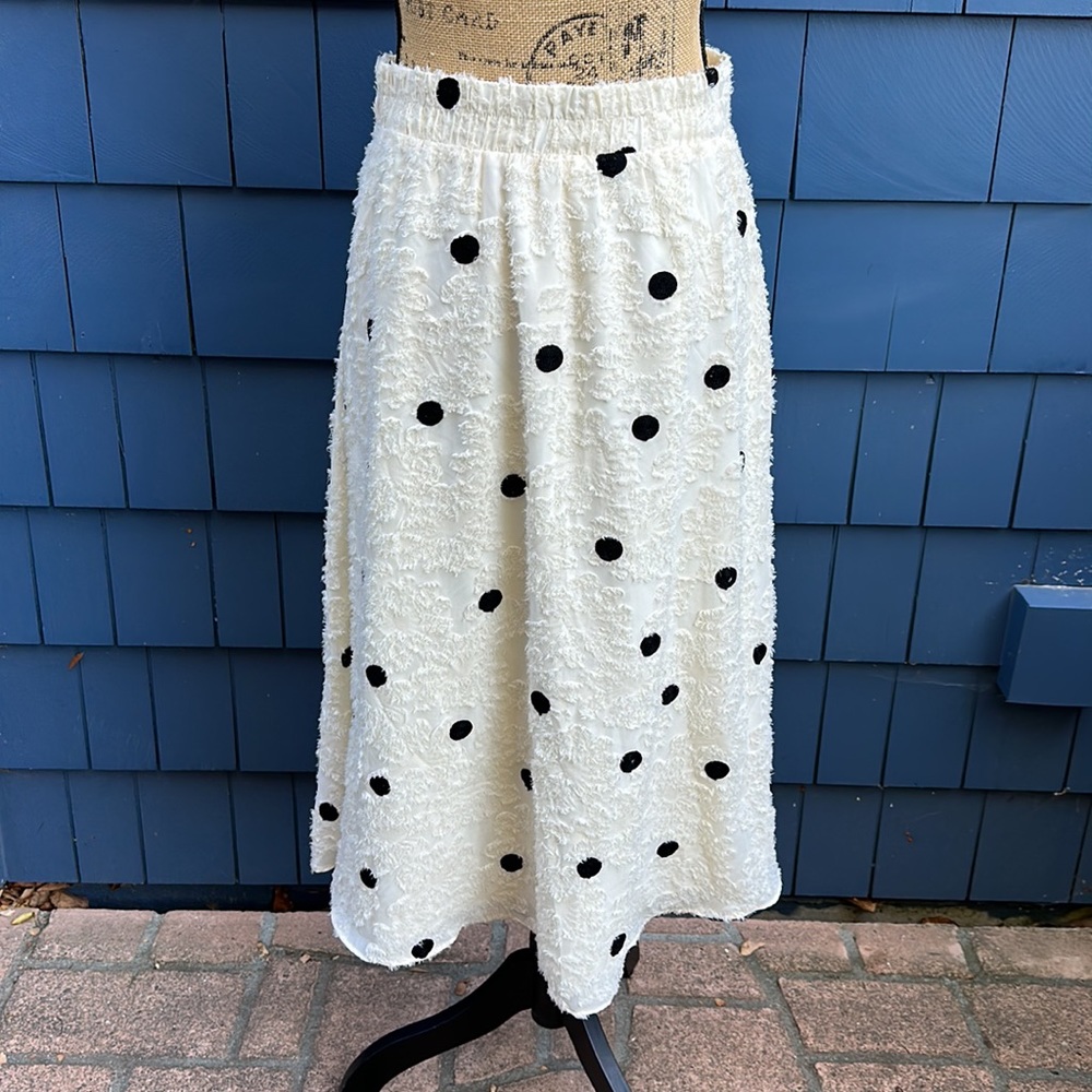Annthropologie Eri + Ali Andrea Textured Polka Dot Midi Skirt - Picture 3 of 6